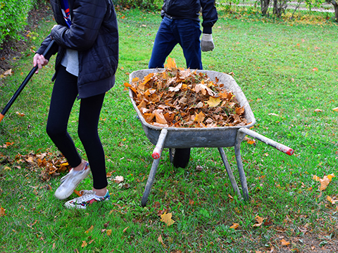 Lisää tietoa tietopaketista.