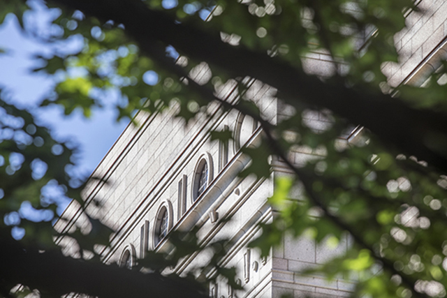 Eduskuntatalo puiden oksien takana