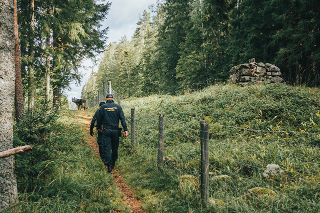 Rajavartijoita kulkemassa raja-aidan vieressä