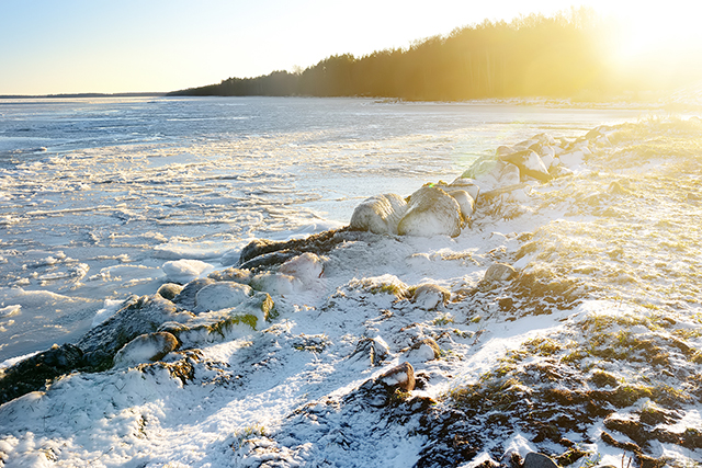Luminen ja kivikkoinen ranta ja jäinen meri, aurinko paistaa rannan metsän takaa.